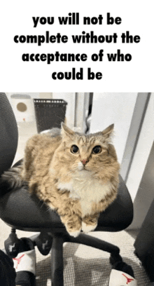 a cat is sitting on a chair with a caption that says " you will not be complete without the acceptance of who could be "