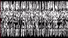 a black and white image of a row of trees with a red border .