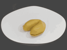 Fortune Cookie Shakespeare GIF