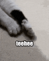 Teehee GIF - Teehee GIFs