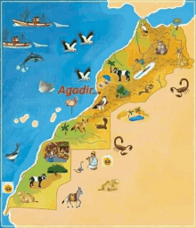 Marockader Map GIF - Marockader Map GIFs