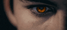 Werewolf Orange Eye GIF - Werewolf Orange Eye GIFs