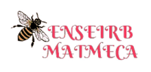 enseirb mmk enseirb mmk