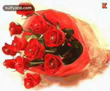 rose day roses wishes kulfy telugu