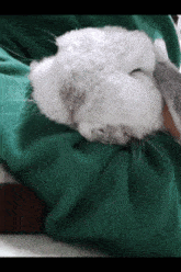 Sleepy Nuzzler Mumi Cuddle Bunny GIF - Sleepy Nuzzler Mumi Cuddle Bunny GIFs