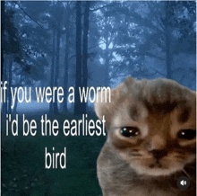 a picture of a sad cat with the words if you were a worm i 'd be the earliest bird