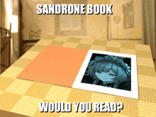 a book with a picture of a girl on it titled sandrone book would you read