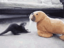 Otter Seal GIF