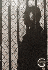 a silhouette of a person behind a chain link fence with the words blessvillains on the bottom right