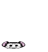 a cartoon drawing of a black and white cat with a pink ear