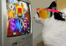 a cat wearing sunglasses looks at a tv screen with smog written on it