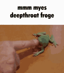 froge mmm myes deep throat froge frog