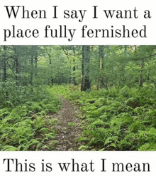 a picture of a path in the woods with the words " when i say i want a place fully fernished "