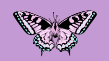 Butterfly Rgb GIF - Butterfly Rgb Party Time GIFs