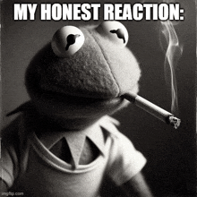 Kermit My Honest Reaction GIF - Kermit My Honest Reaction Smoking GIFs
