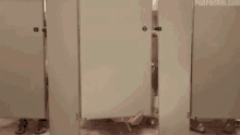 You Would Notbelieve Potty GIF - You Would Notbelieve Potty Hey There GIFs