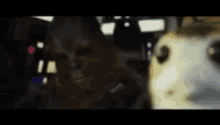 Porg Meow GIF - Porg Meow Star Wars GIFs