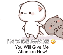 Attention Give Me Attention GIF - Attention Give Me Attention GIFs