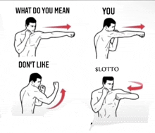 a drawing of a man boxing with the words what do you mean and you don 't like