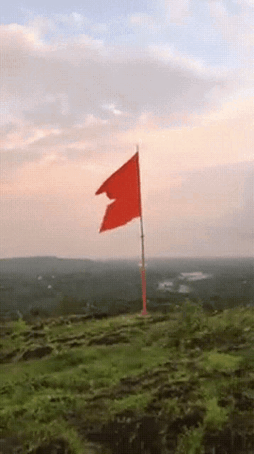 Rss Flag GIF - Rss Flag - Discover & Share GIFs