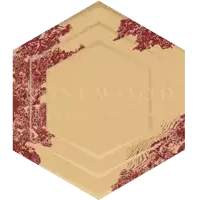 a hexagon with a chinese symbol in the middle
