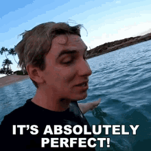 Its Absolutely Perfect Stephen Sharer GIF
