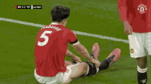 Maguire Owngoal GIF - Maguire Owngoal Shithouse GIFs