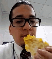 quesadilla eat food chew