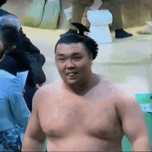 Kiribayama Sumo Wrestler GIF - Kiribayama Sumo Wrestler Tongue Out GIFs