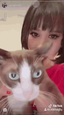 ปราง Cat GIF - ปราง Cat Selfie GIFs