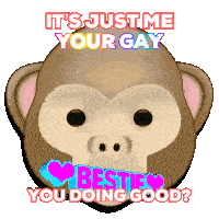 a monkey with the words it 's just me your gay on it