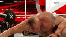 Brock Lesnar Blood GIF