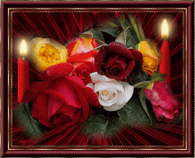 Beautiful Red Roses GIF