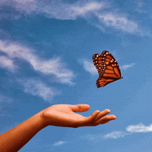 дня рука GIF - дня рука бабочка GIFs