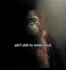 a picture of a monkey with the words ain t shit to smile bout