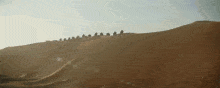 a group of people riding camels down a sand dune .