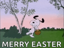 snoopy is holding a basket of eggs in a field and says merry easter .