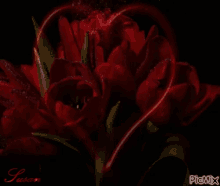 Waiting Patiently Flowers GIF - Waiting Patiently Flowers Bouquet GIFs