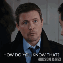 How Do You Know That Charlie Hudson GIF - How Do You Know That Charlie Hudson Hudson And Rex GIFs