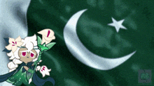 a green background with a crescent moon and star