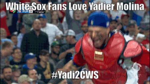 St Louis Cardinals Yadi GIF - St Louis Cardinals Yadi Yadier Molina -  Discover & Share GIFs