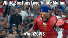 Yadi Yadi2cws GIF - Yadi Yadi2cws White Sox GIFs
