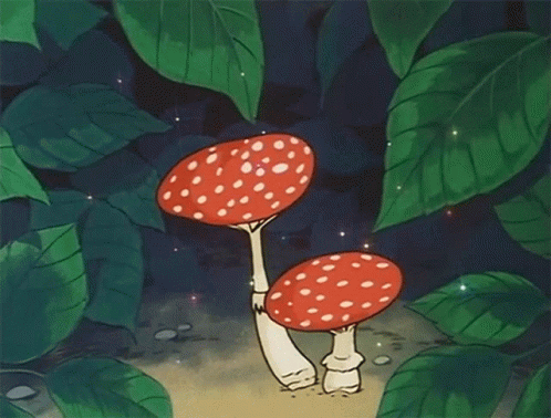Mushroom Anime Person Wallpapers - Wallpaper Cave