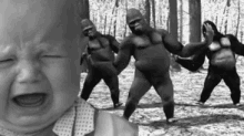 Dancing Gorillas GIF - Gorillas Baby Crying GIFs