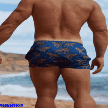 butt hottie shorts male man