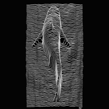Surreal Shark GIF - Surreal Shark GIFs