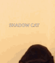 Kitty Curious GIF - Kitty Curious What GIFs