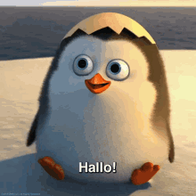 Hallo GIF - Penguin Hallo Pinguin GIFs
