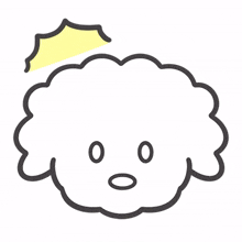 bichonfrise poodle