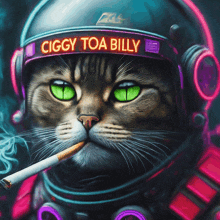 a cat wearing a helmet that says ciggy toa billy on it